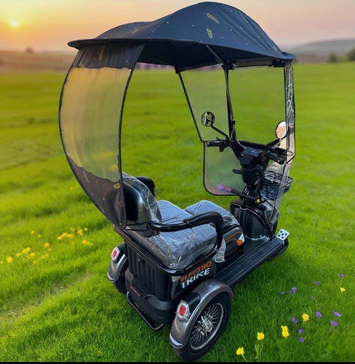 Электротрицикл Electrotrike Бумеранг 3000 с крышей
